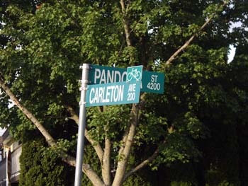IMGP1054