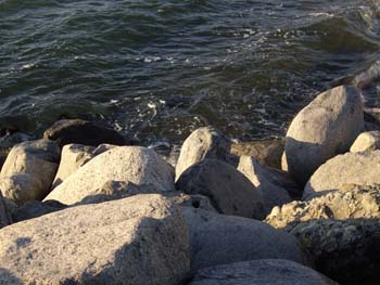 IMGP1199