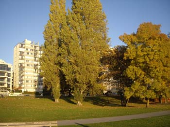 IMGP1215