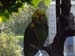 IMGP1305